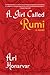 A Girl Called Rumi