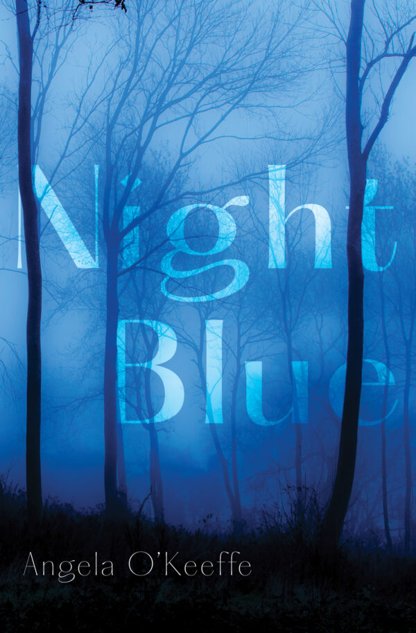 Night Blue (Paperback)