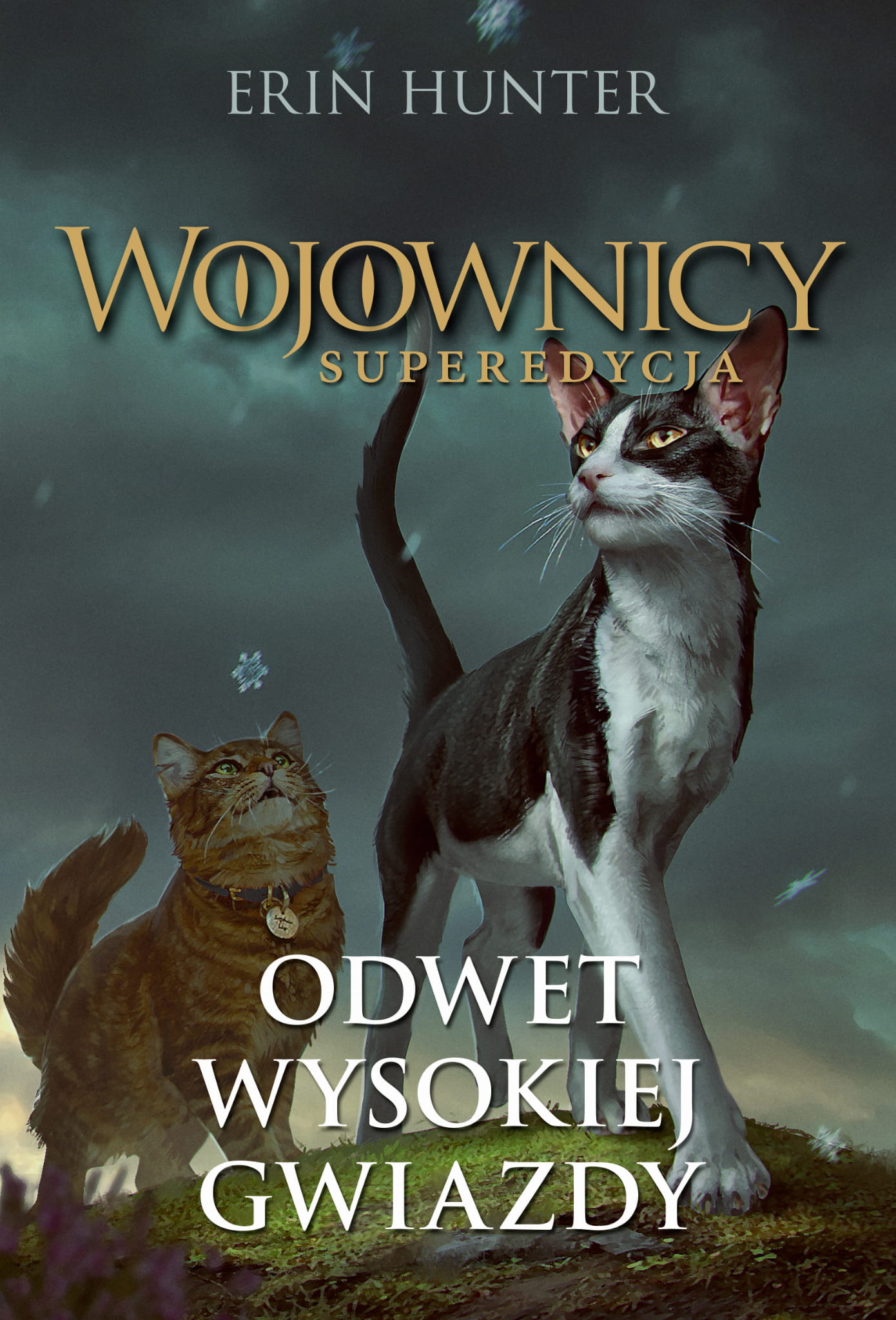 Odwet Wysokiej Gwiazdy (Wojownicy: Superedycja)