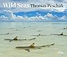 Wild Seas