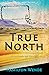 True North: African roads l...