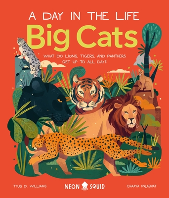 Big Cats: What Do Lions, Tigers, and Panthers Get up to All Day?