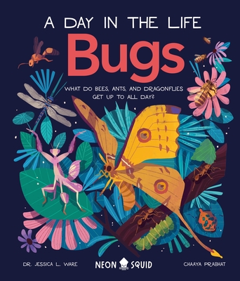 Bugs: What Do Bees, Ants, and Dragonflies Get up to All Day? (A Day in the Life)