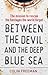 Between the Devil and the Deep Blue Sea: The mission to rescue the hostages the world forgot