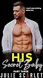 His Secret Baby Book 3 by Julie Scarlet