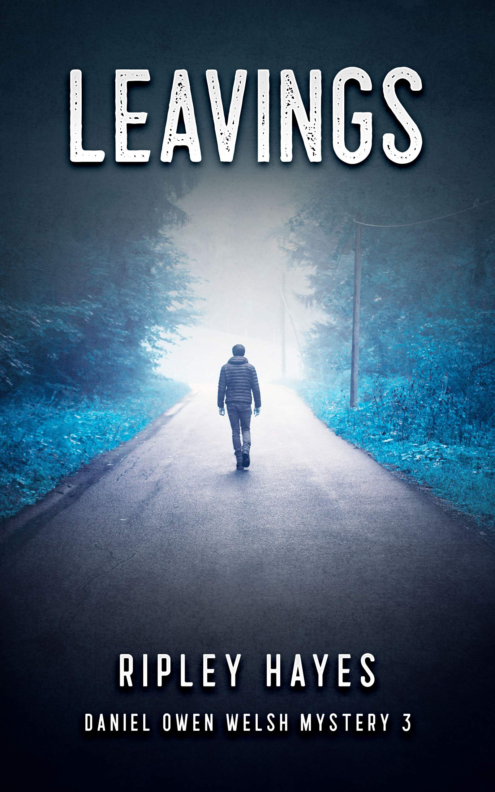 Leavings (Daniel Owen Welsh Mysteries #2)