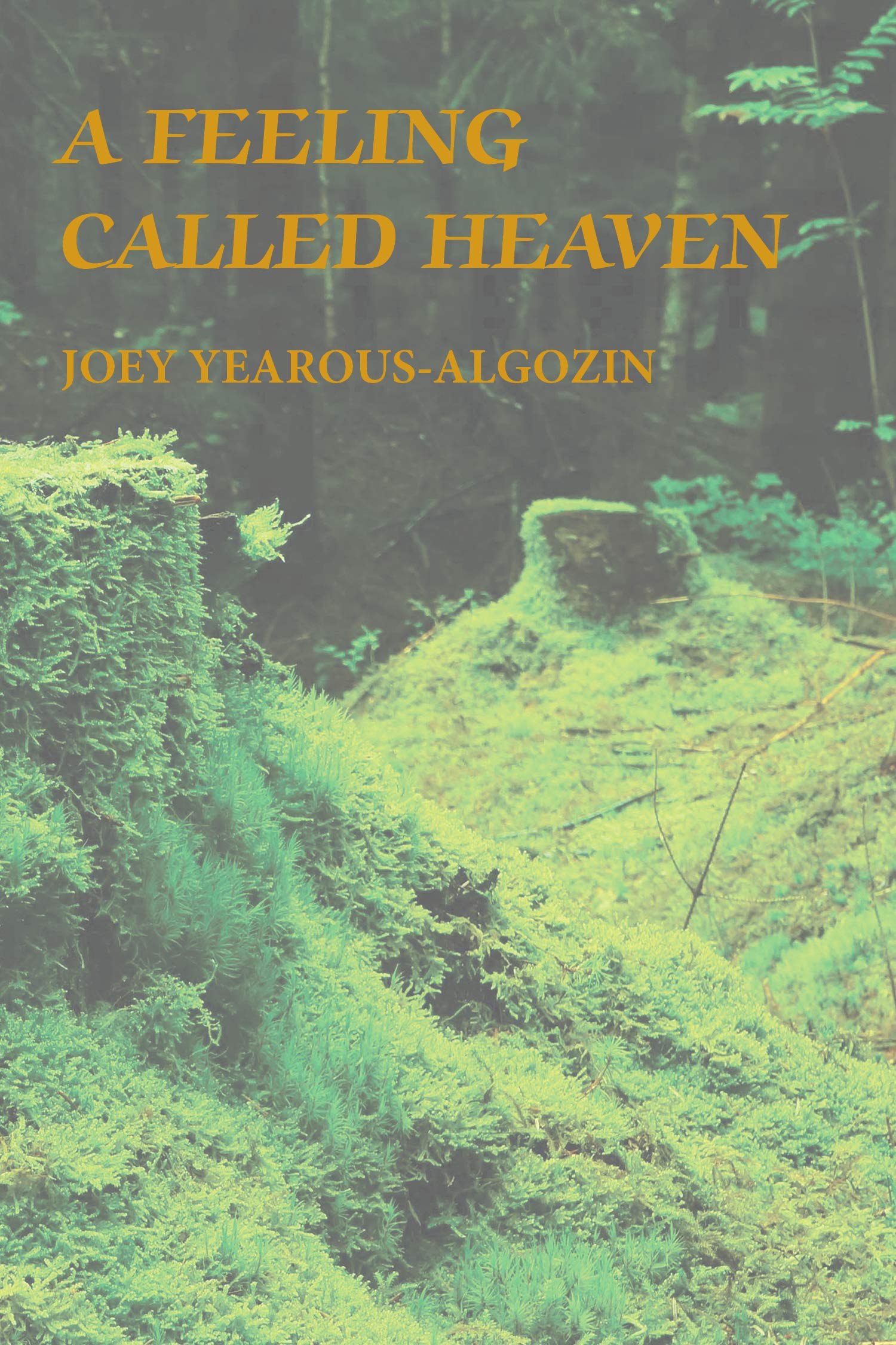 A Feeling Called Heaven (Paperback)