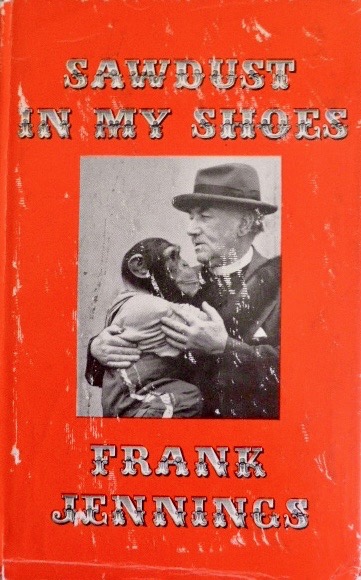 Sawdust in my shoes (Hardcover)
