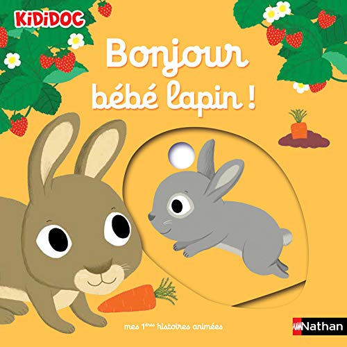 Bonjour bébé lapin ! (Hardcover)