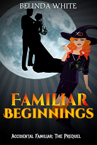 Familiar Beginnings (Accidental Familiar, #0.6)