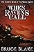 When Ravens Call: The Fourth Book in the Small Gods Epic Fantasy Series (The Books of the Small Gods 4)