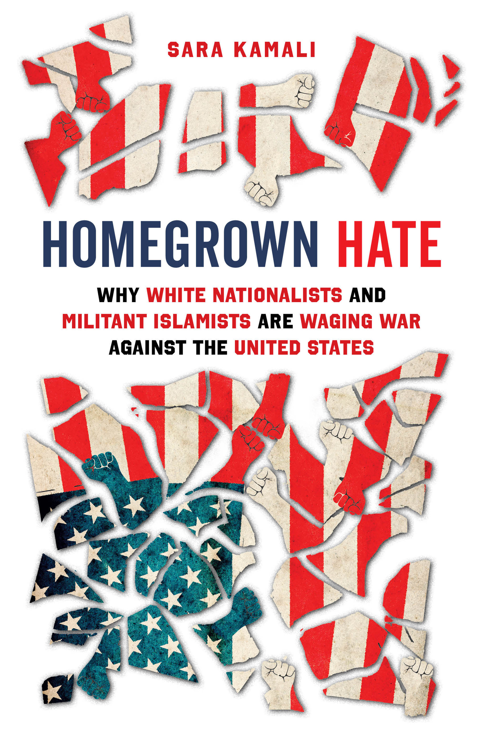 Homegrown Hate: Why White Nationalists and Militant Islamists Are Waging War against the United States (Hardcover)