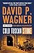 Cold Tuscan Stone (Rick Montoya Italian Mystery #1)