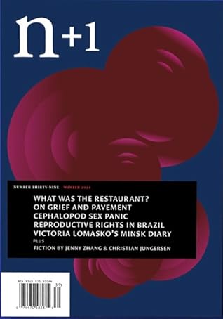 n+1 Issue 39: Take Care