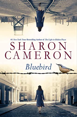 Bluebird Bluebird