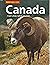Canada Road Atlas / Atlas R...