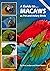 A GUIDE TO MACAWS AS PET AN...