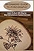Beginners Guide To Pyrography: Learn To Burn With Step by Step Instructions & Practice Exercises: Pyrography For Beginners