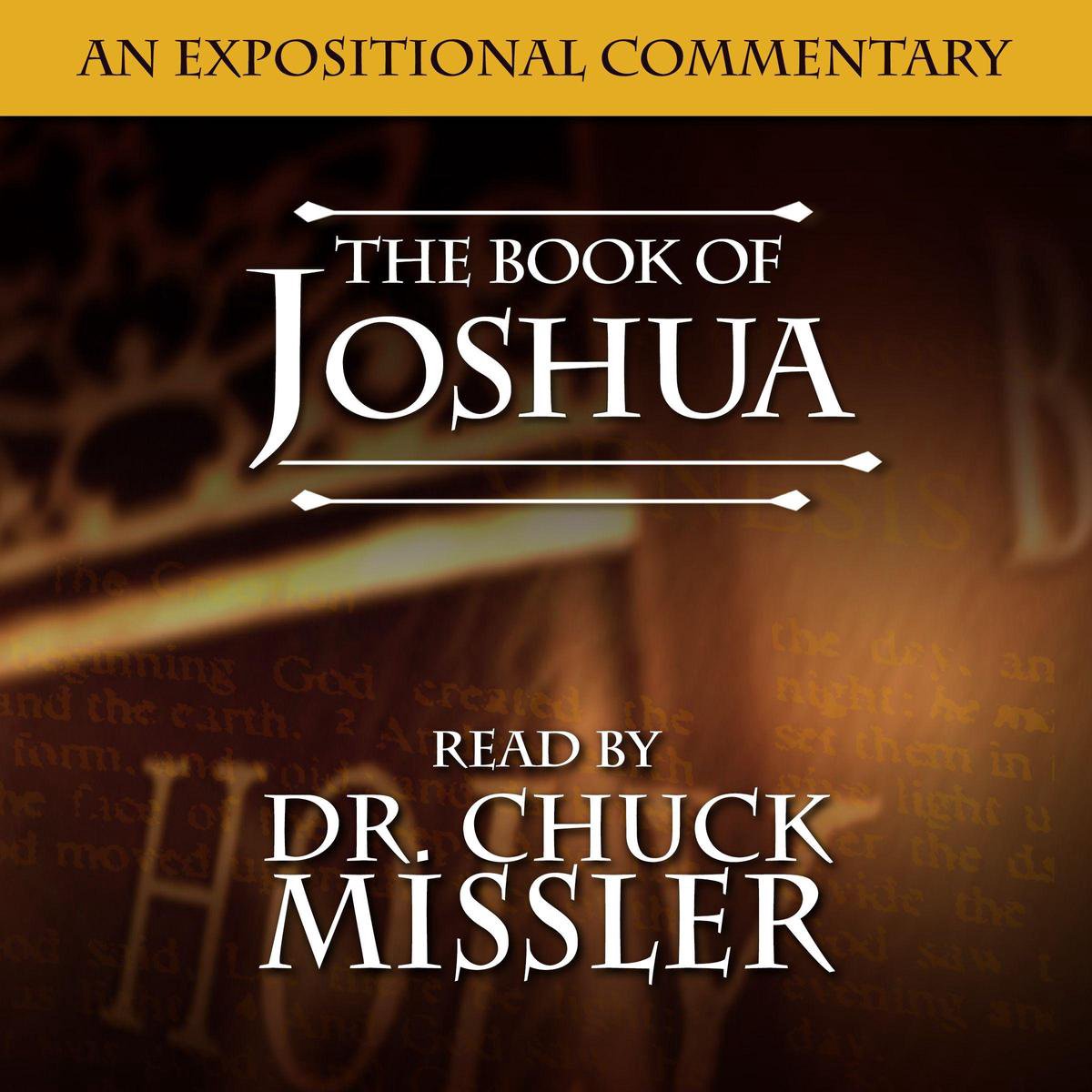 The Book of Joshua (MP3 CD)