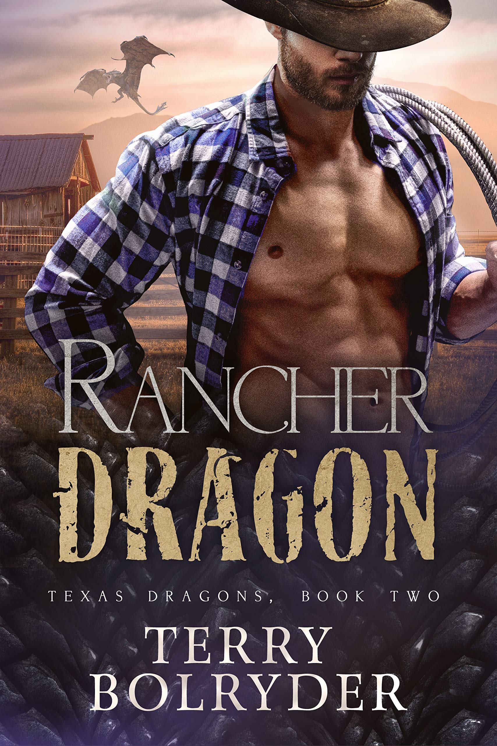 Rancher Dragon (Texas Dragons #2)
