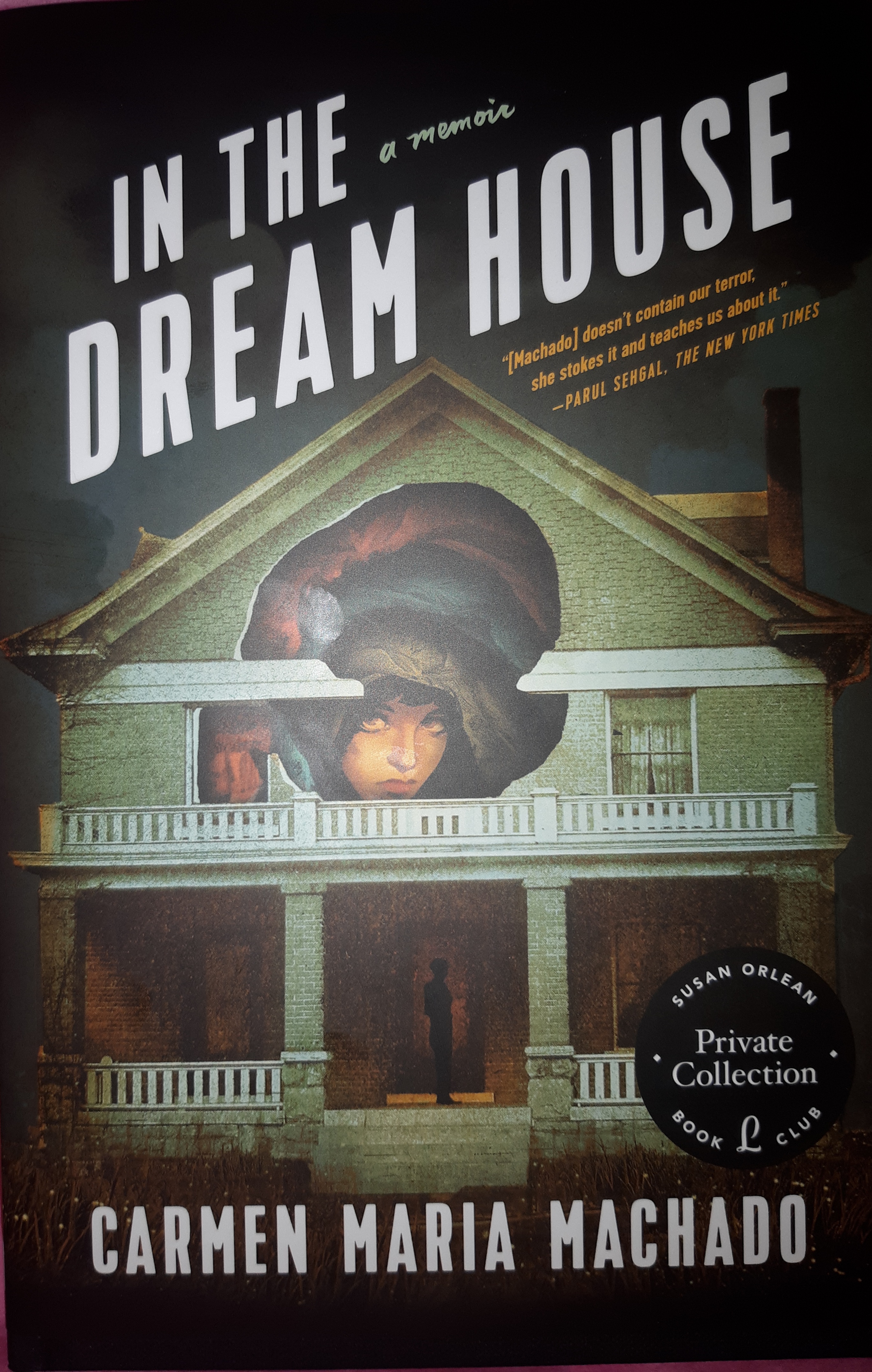In the Dream House