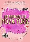 Book cover for Um Romance em Nova York (Portuguese Edition)