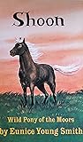 Shoon: Wild Pony of the Moors