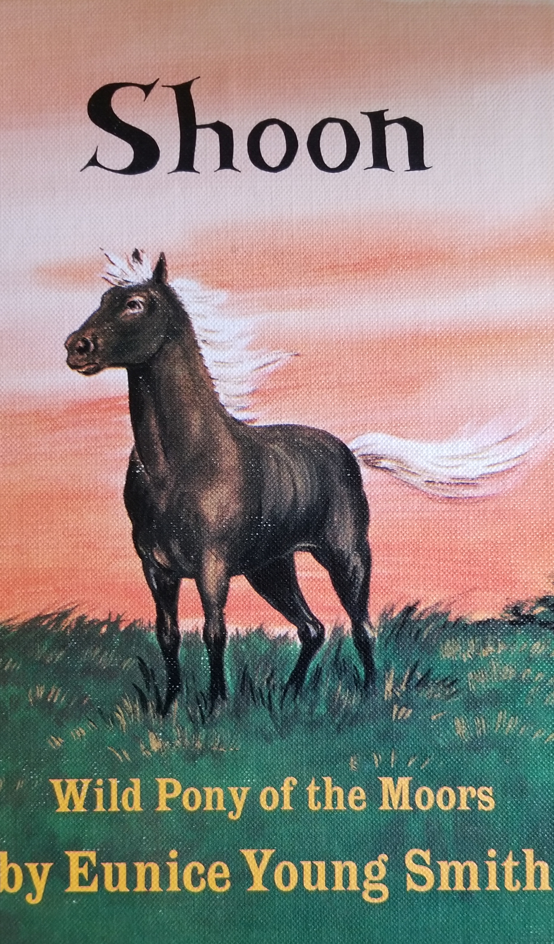 Shoon: Wild Pony of the Moors