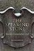 The Speaking Stone by Michael Griffith