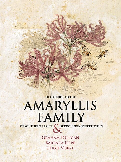 Field Guide to the Amaryllis Family of Southern Africa & Surrounding Territories (Paperback)