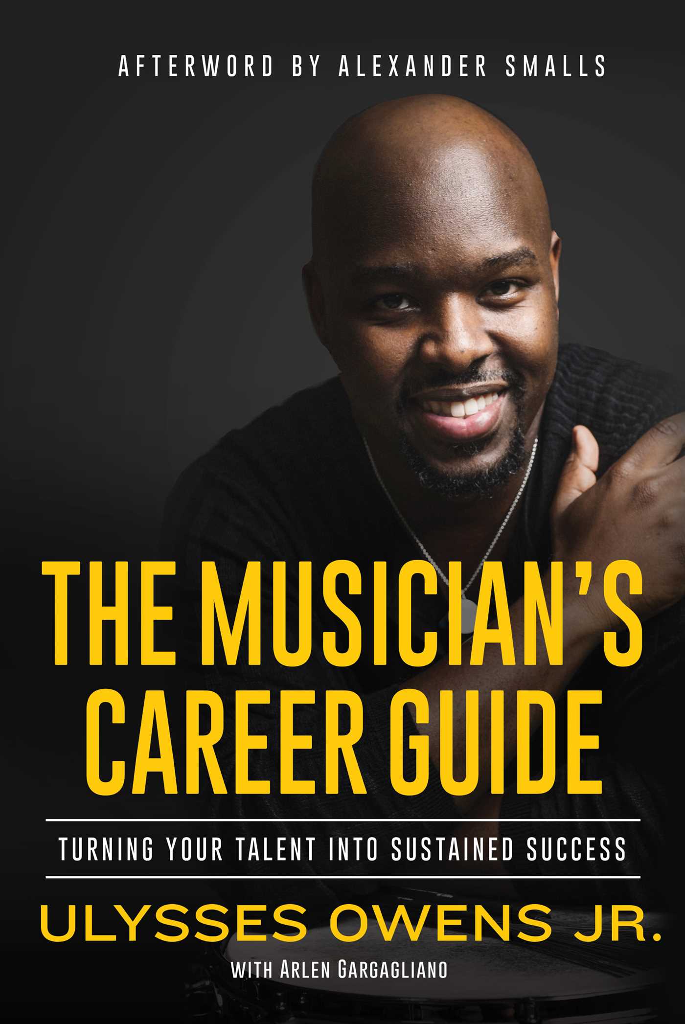 pdf download The Musician's Career Guide: Turning Your Talent into Sustained Success