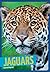 Jaguars (Wild Cats)