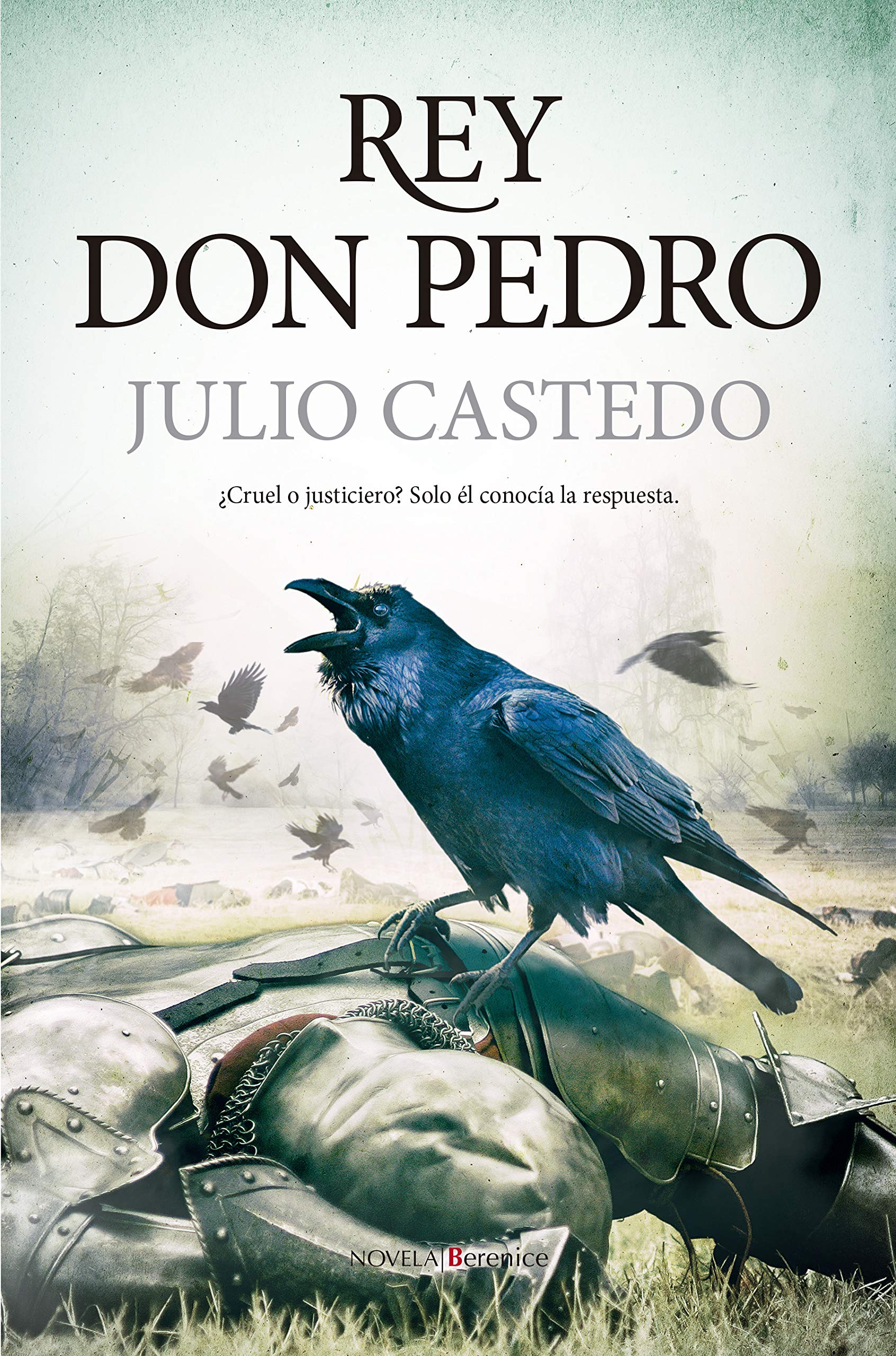 Portada de Rey Don Pedro, de Julio Castedo