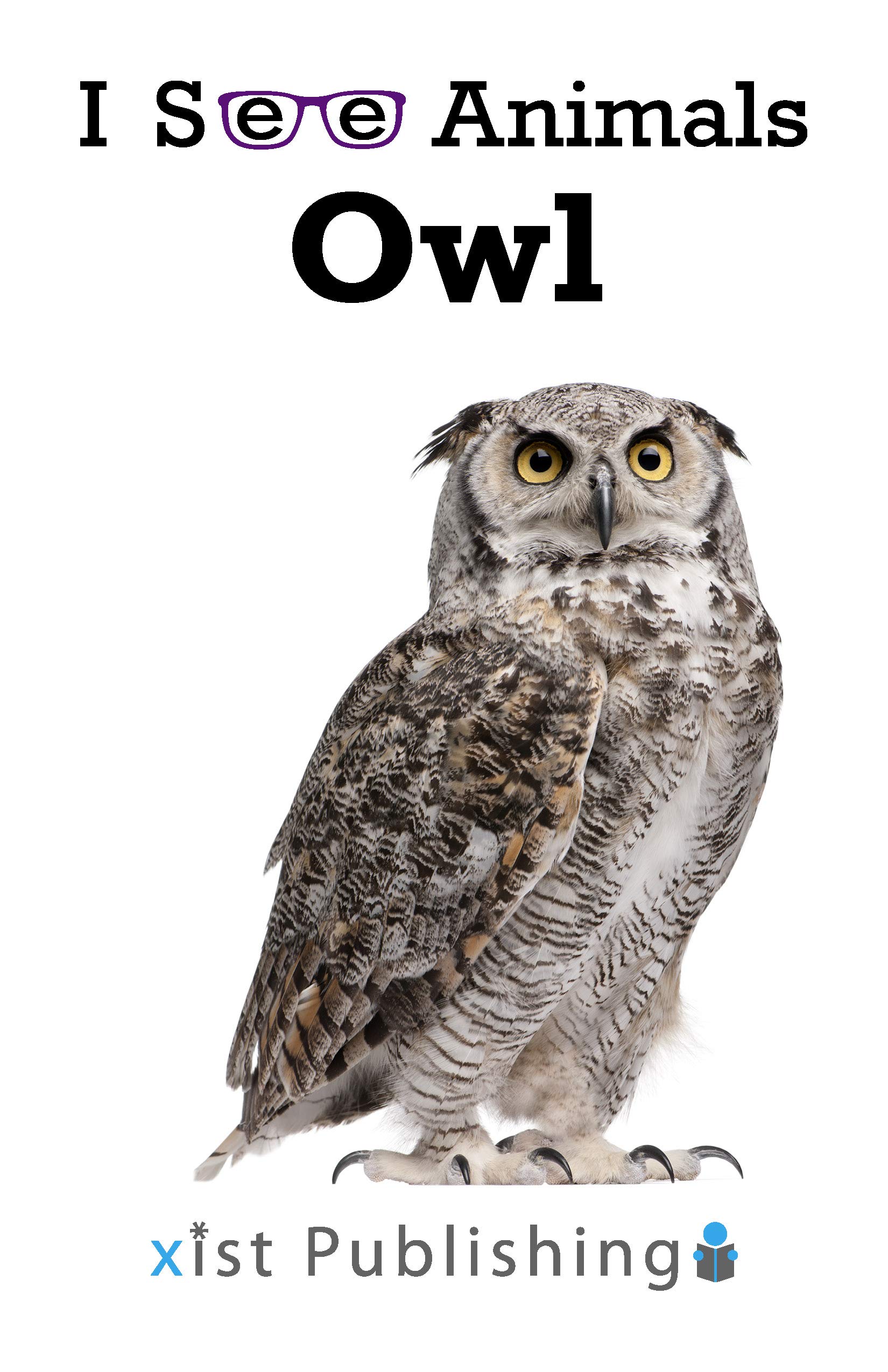 Owl (I See Animals)