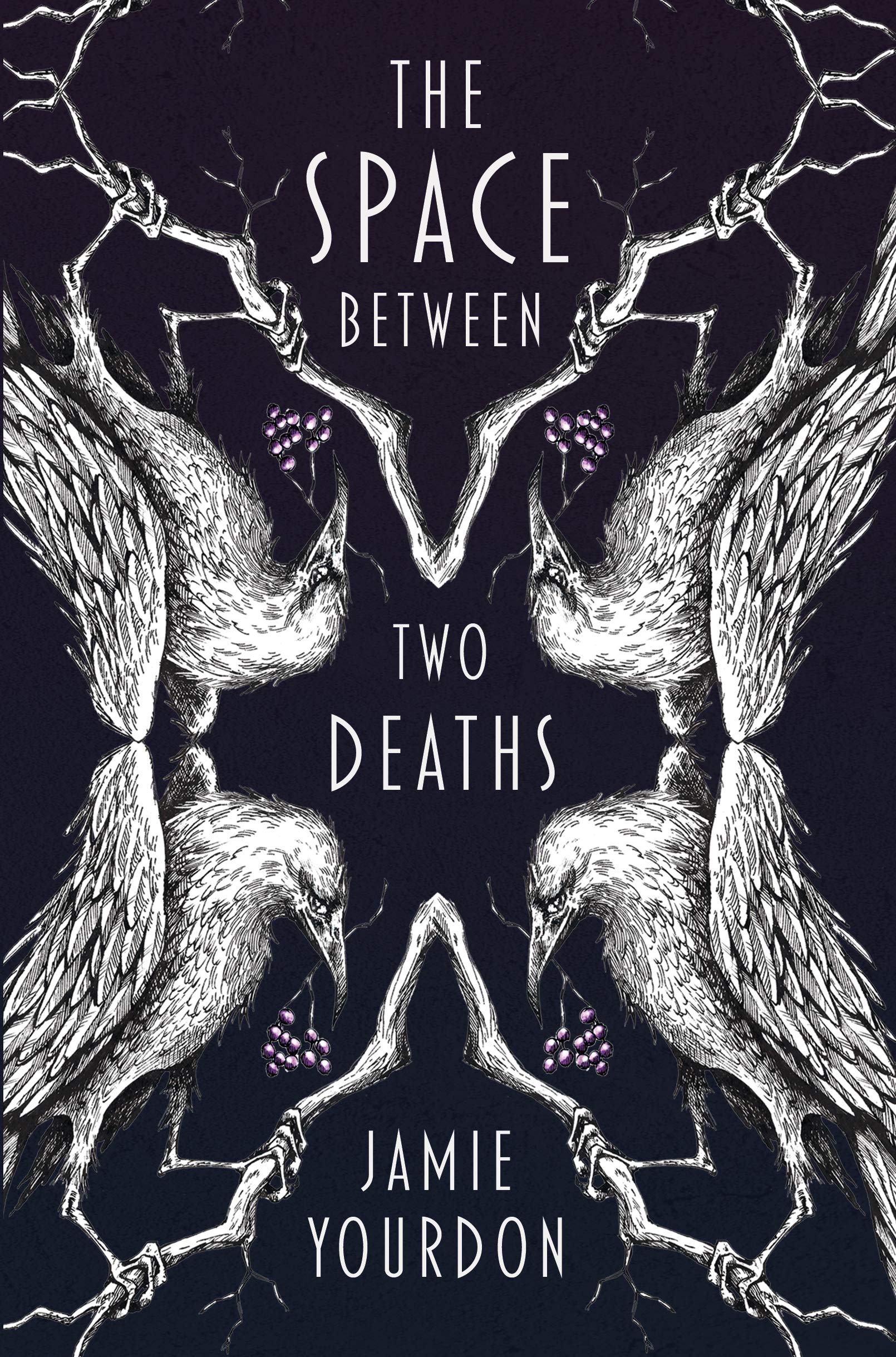 The Space Between Two Deaths (Kindle Edition)