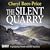 The Silent Quarry (DI Winter Meadows, #1)