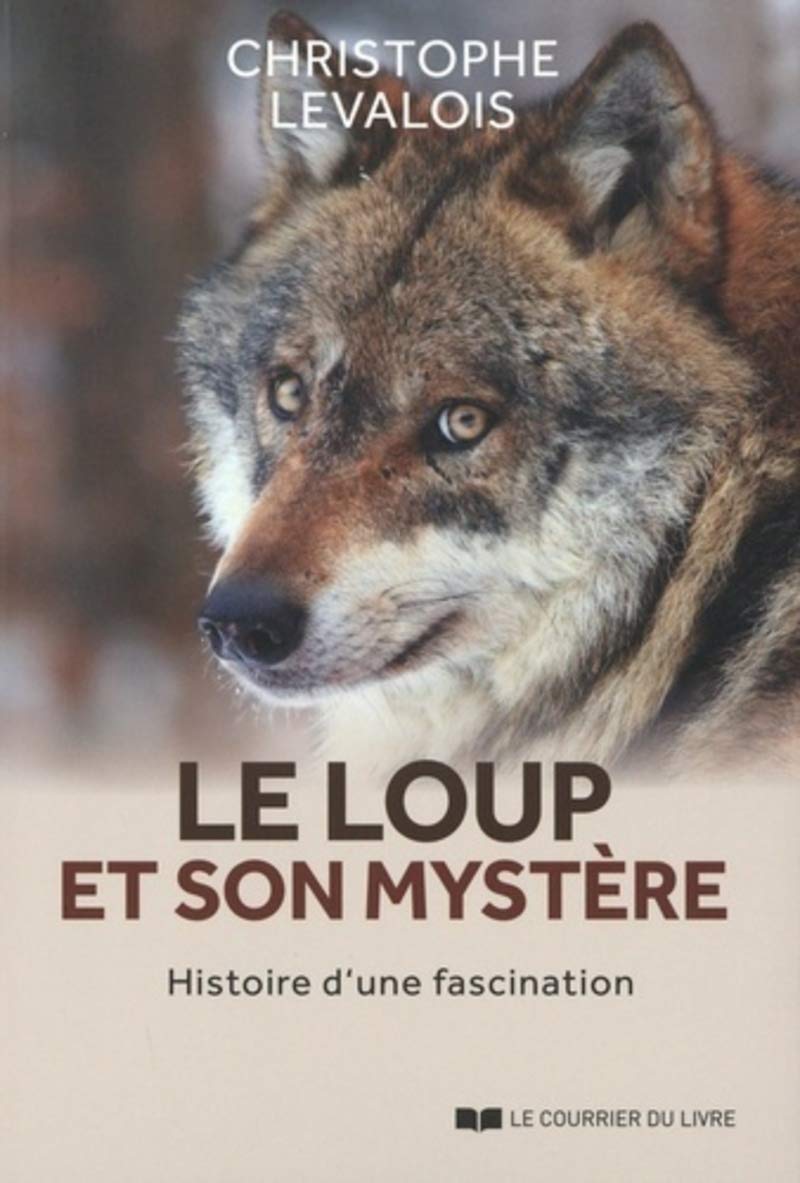 Le loup et son mystère (Paperback)