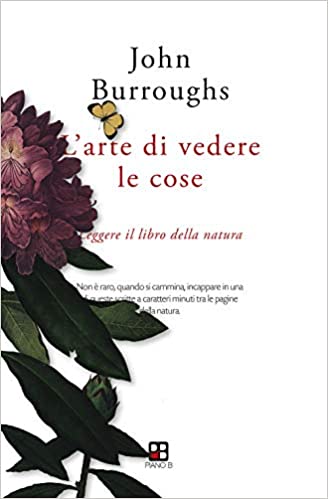 L'arte di vedere le cose. Leggere il libro della natura (Paperback)