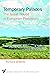Temporary Palaces: The Great House in European Prehistory (Oxbow Insights in Archaeology Book 7)
