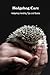 Hedgehog Care: Hedgehog Han...