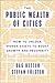 The Public Wealth of Cities by Dag   Detter