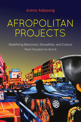 Afropolitan Projects: Redefining Blackness, Sexualities, and Culture from Houston to Accra (Hardcover)