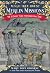 A Ghost Tale for Christmas Time (Magic Tree House)