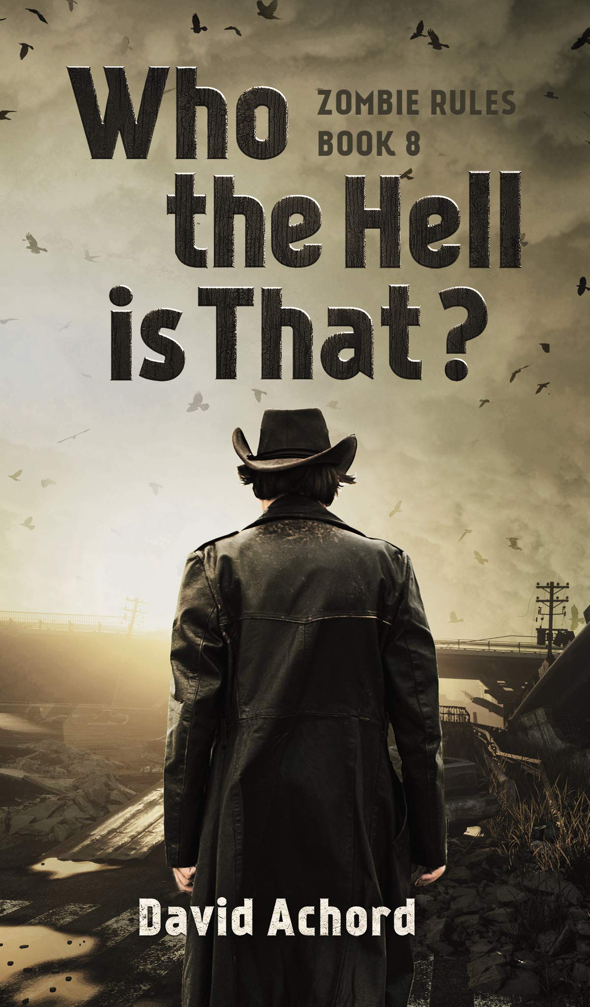 Who the Hell is That? (Zombie Rules, #8)