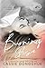 Burning Desire: A Stepbrother Romance