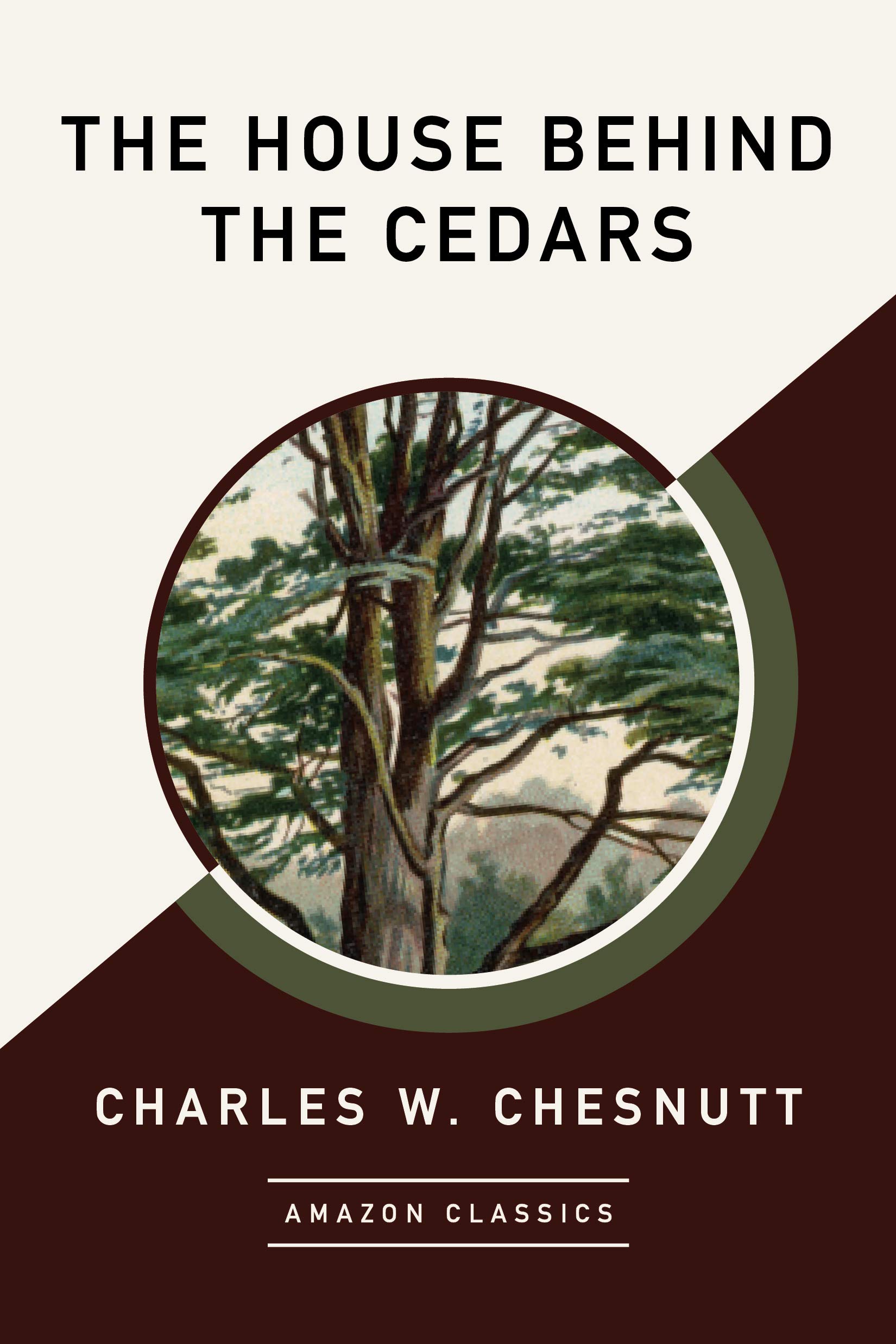 The House Behind the Cedars