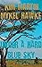 Under a Hard Blue Sky (Jake Tyler Book 2)