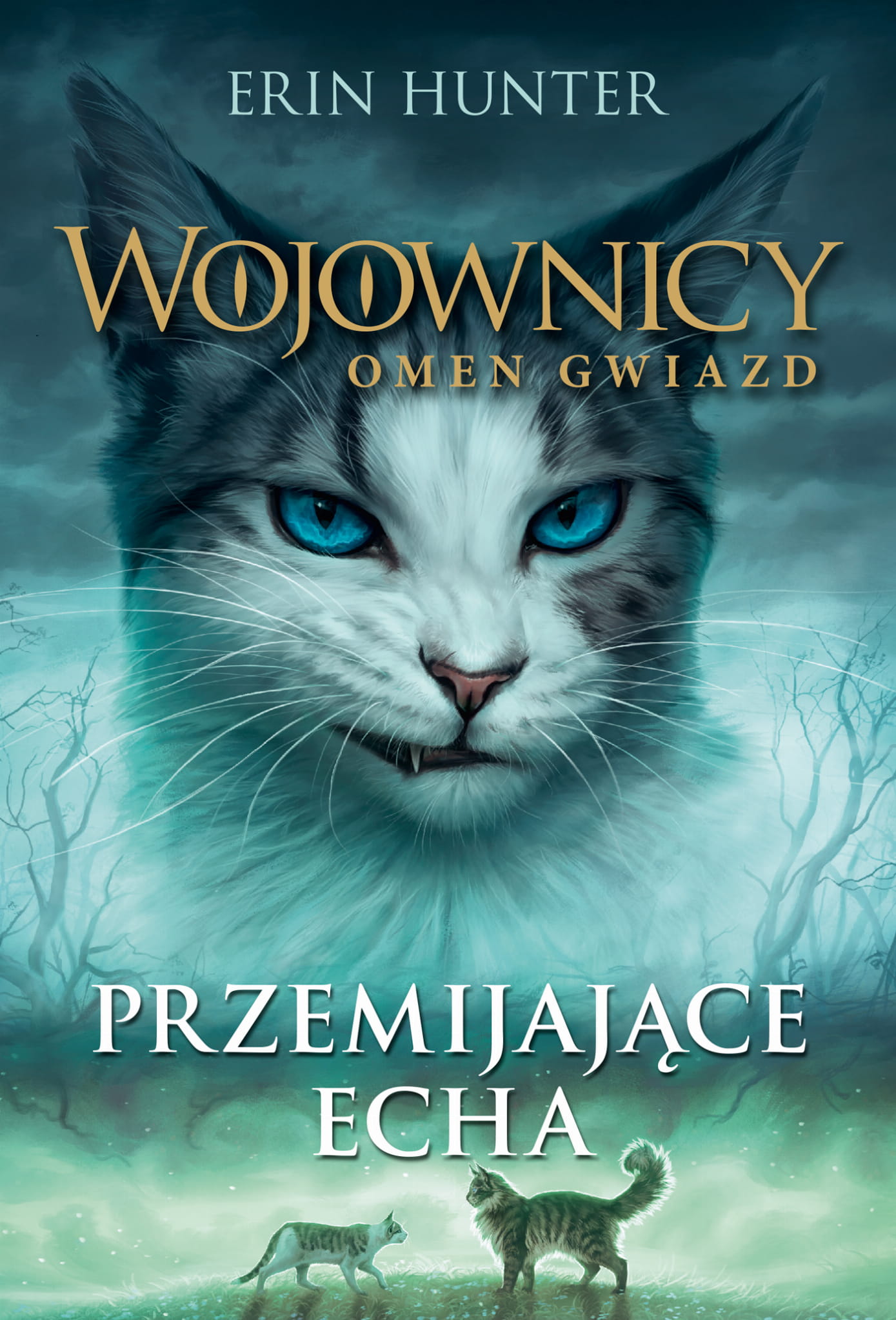 Przemijające Echa (Wojownicy: Omen Gwiazd, #2)
