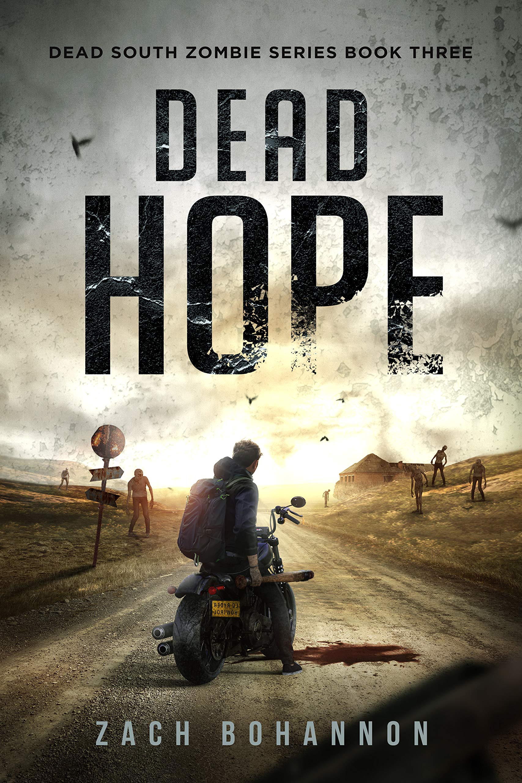 Dead Hope: A Post-Apocalyptic Zombie Thriller (Dead South Book 3)