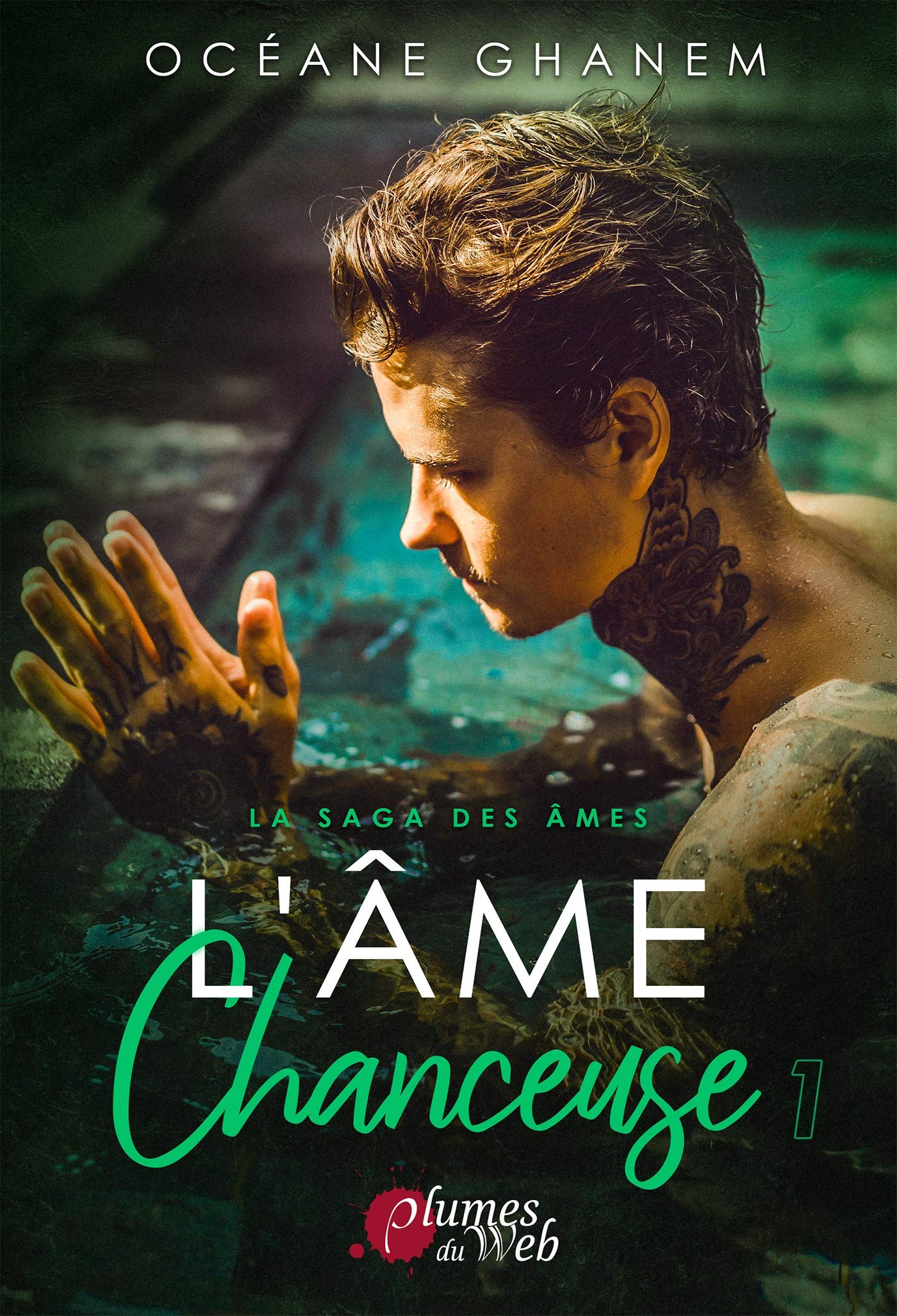 L'âme chanceuse 1 (La saga des âmes, #5)